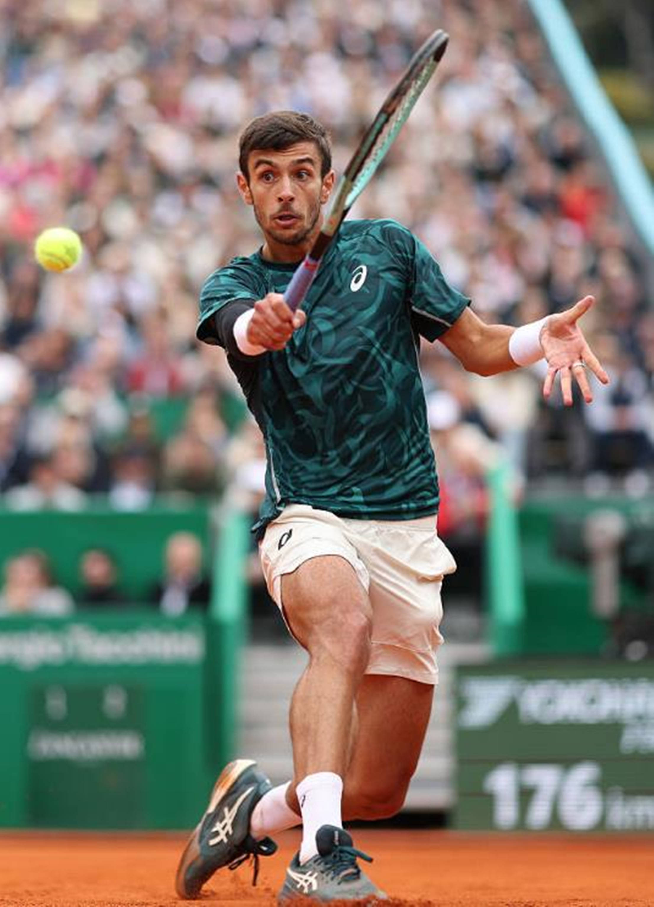 在接下来的 在接下来的