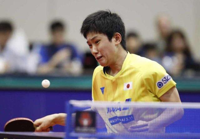 顶级的球员 顶级的球员