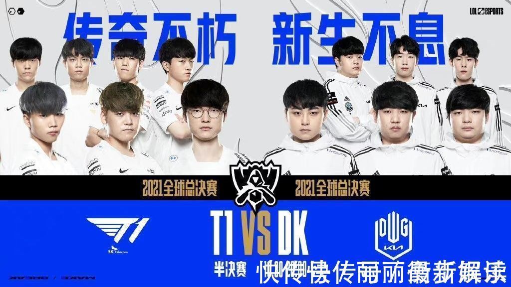 肘区组织在 肘区组织在