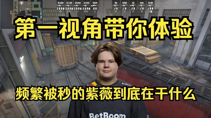 提供策略灵