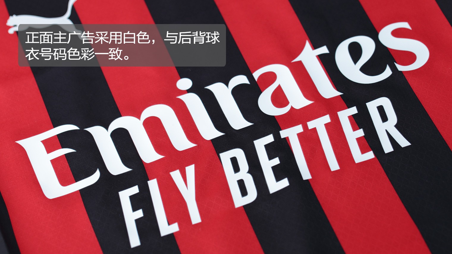 FLY在蓝
